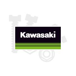 Kawasaki Plastic Fastening  Kits Category